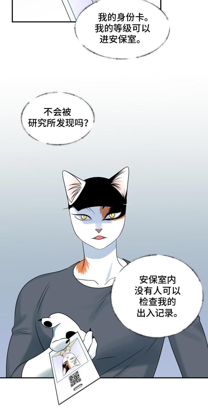 灵猫欧米伽免费版在哪里看漫画,第125话2图