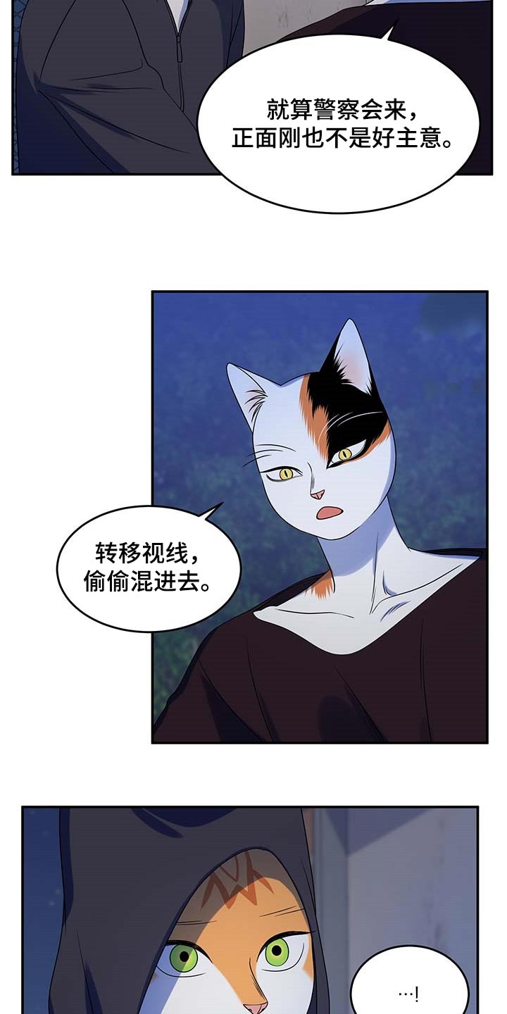 灵猫欧米伽米诺漫画,第37话2图