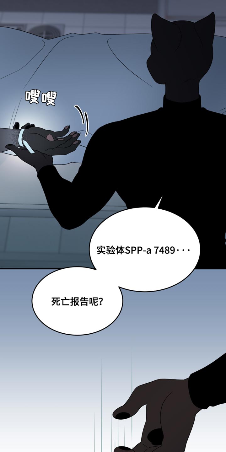 灵猫欧米伽漫画免费观看下拉式漫画,第154话1图