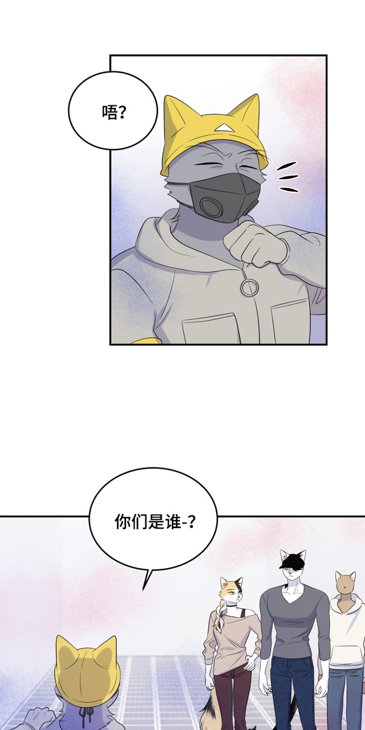 灵猫小说漫画,第123话2图