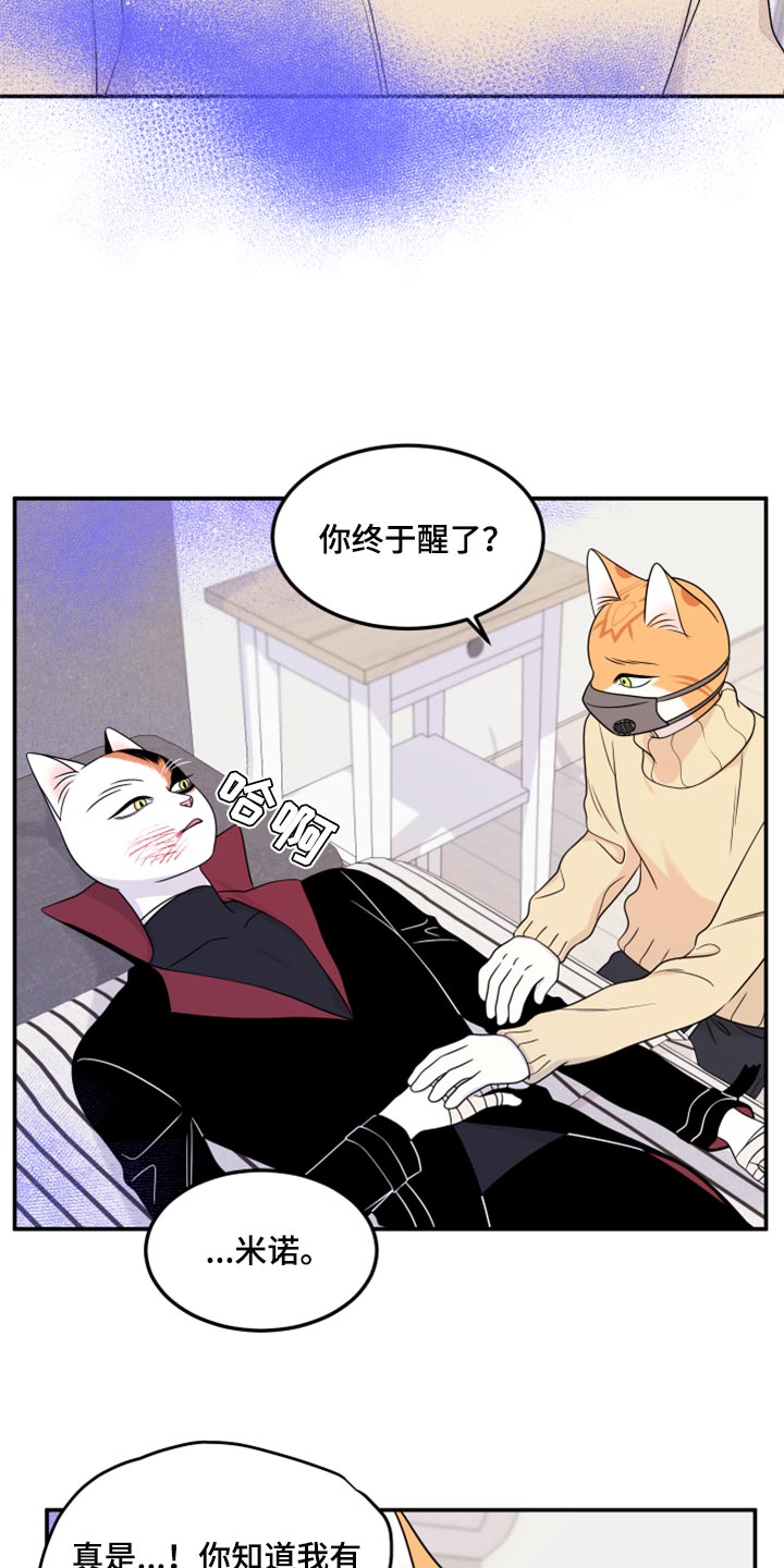 灵猫欧米伽又叫什么漫画,第52话1图