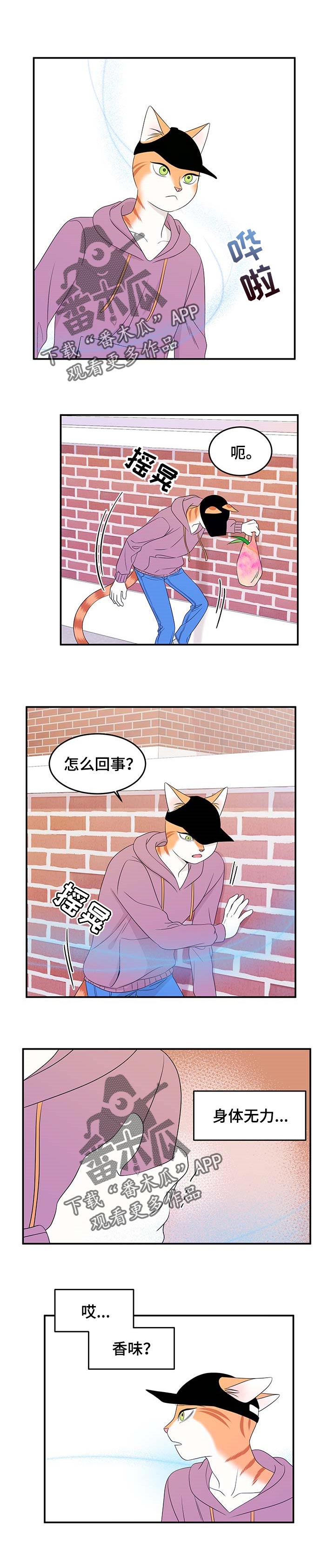 灵猫是什么动物漫画,第27话1图