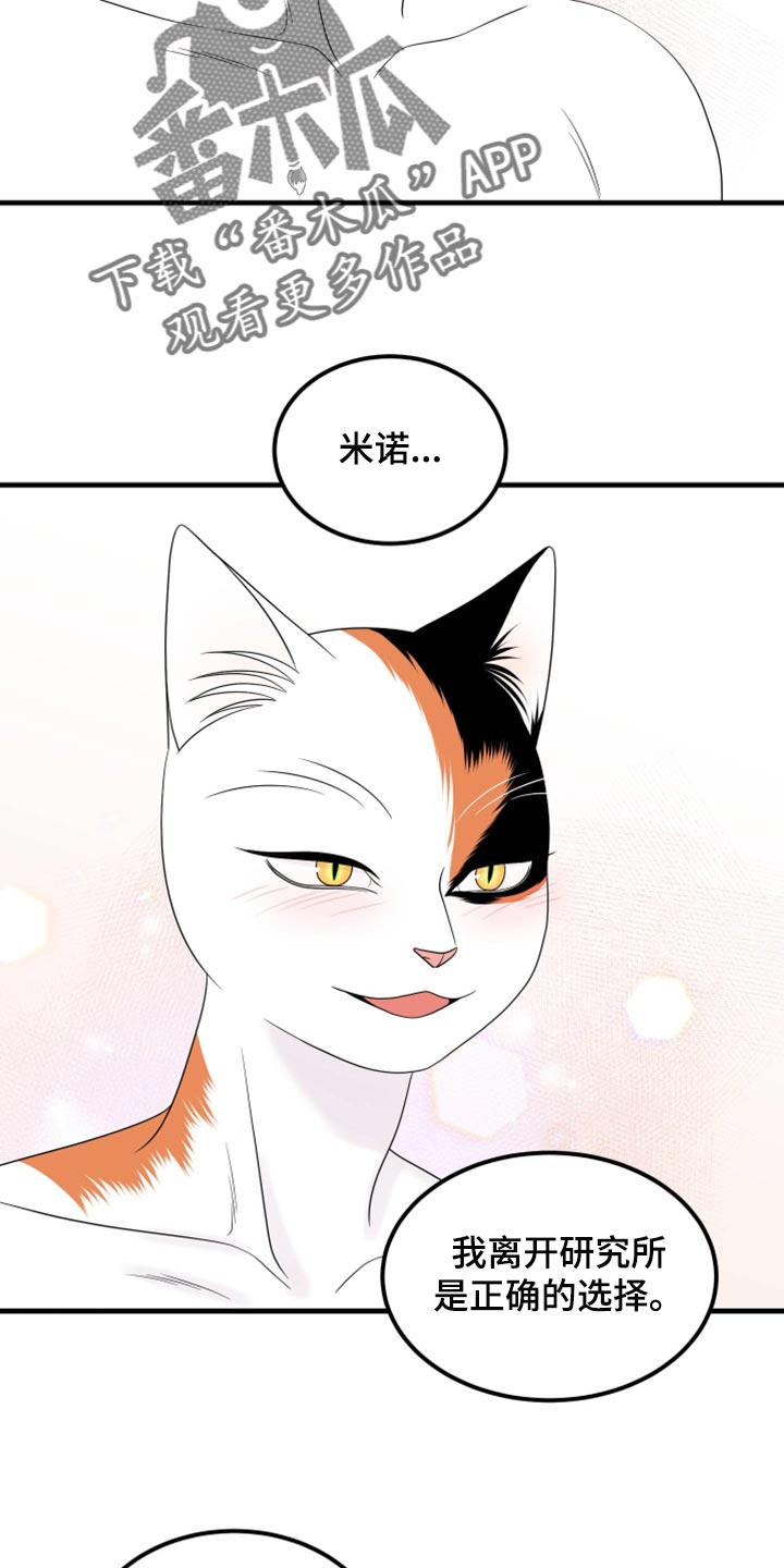 灵猫欧米伽漫画在哪里看漫画,第71话1图