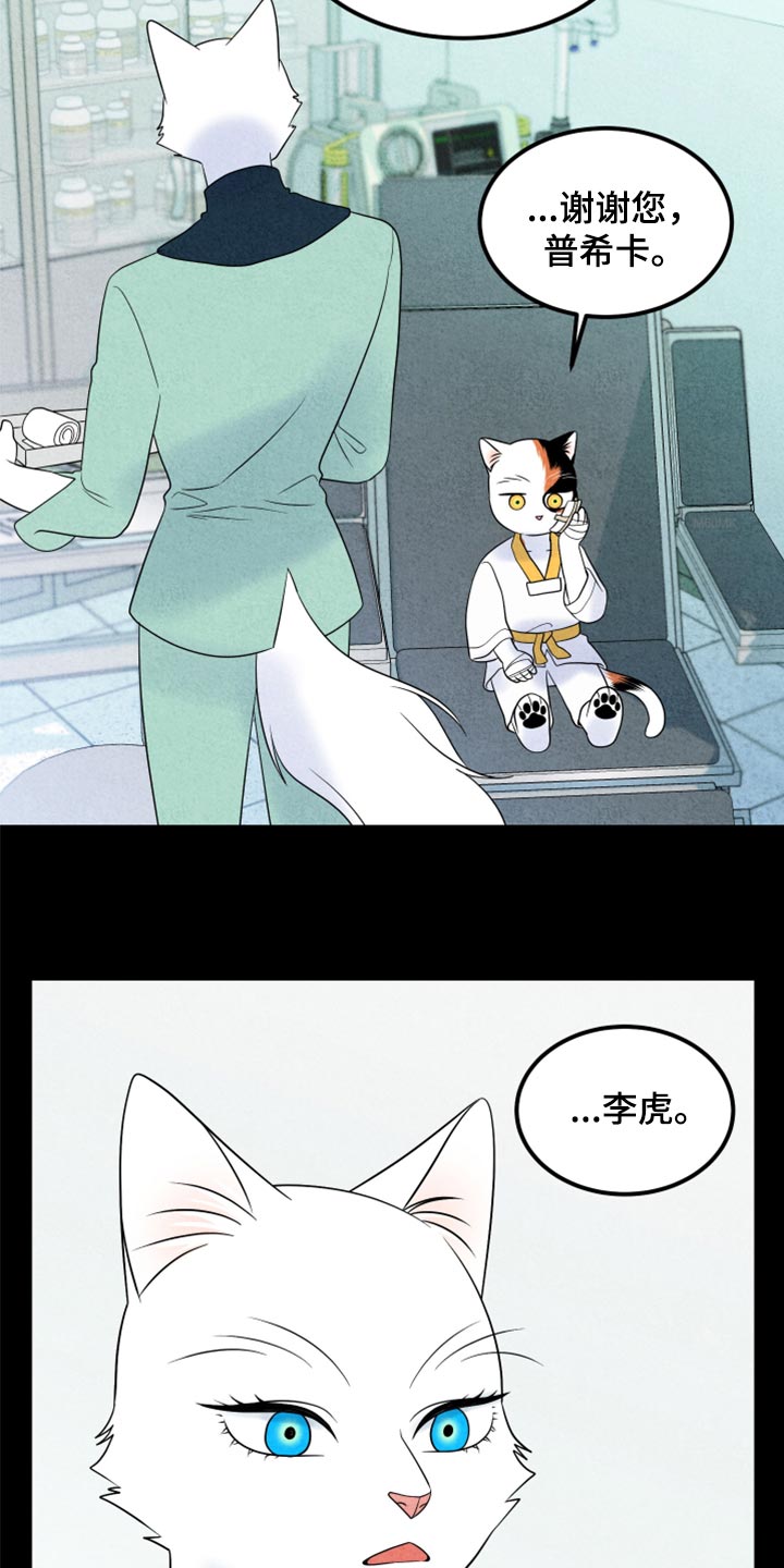 灵猫欧米伽漫画全集免费观看漫画,第70话1图