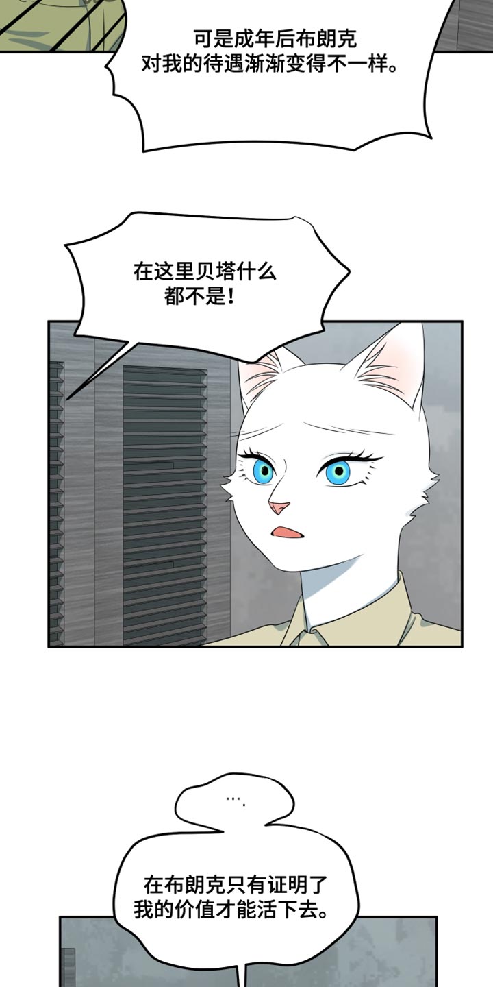 灵猫欧米伽高清漫画,第152话2图