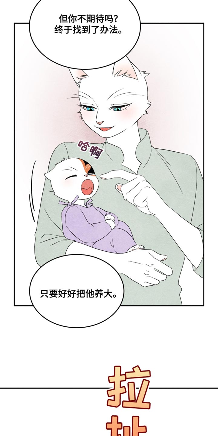 灵猫欧米伽3漫画,第157话1图