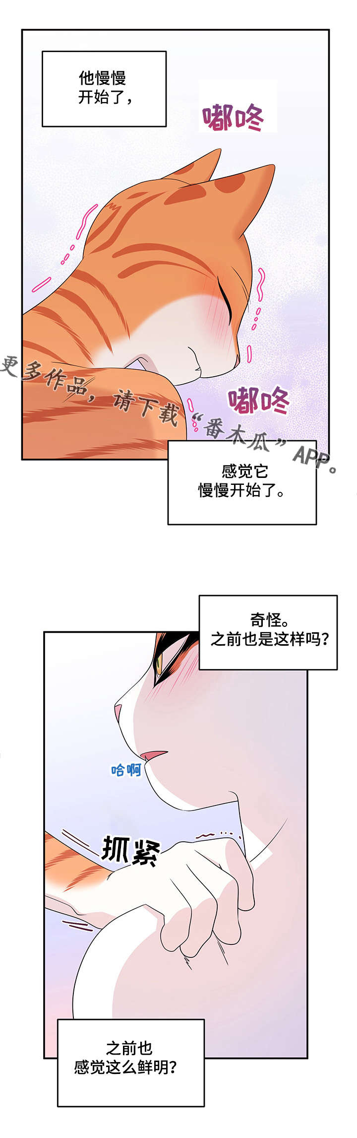 灵猫欧米伽又叫什么漫画,第13话2图