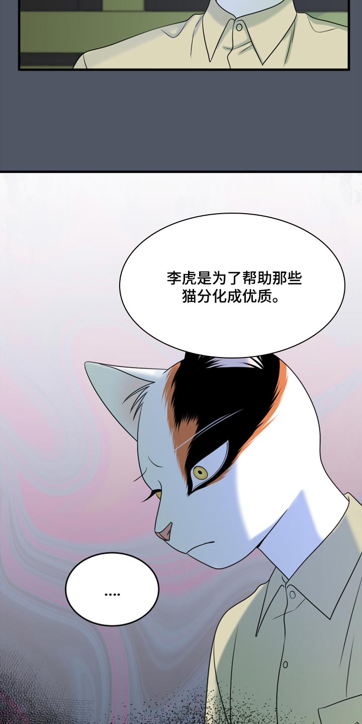 灵猫欧米伽免费漫画,第80话1图