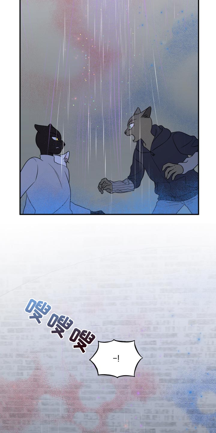 灵猫欧米伽漫画免费漫画,第148话2图