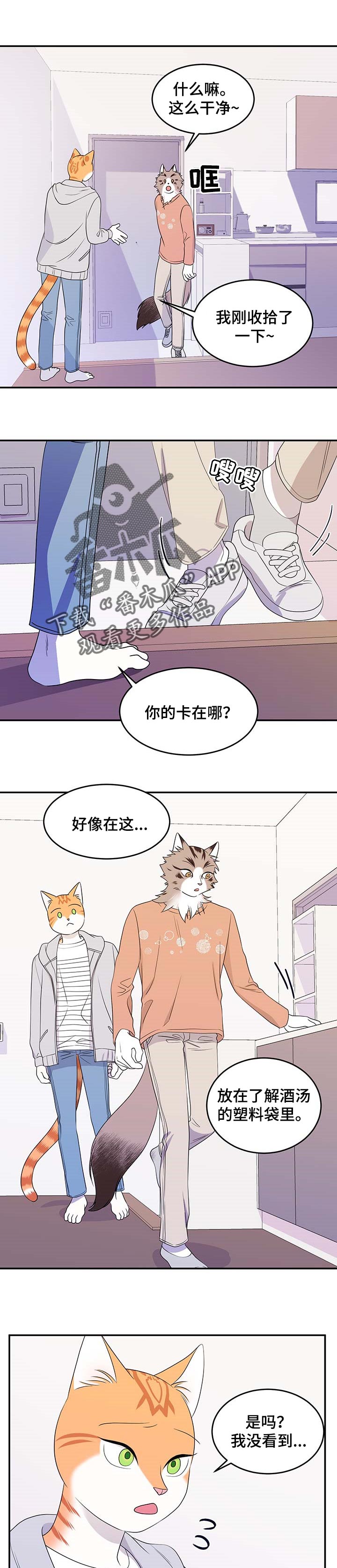 灵猫小说漫画,第18话1图