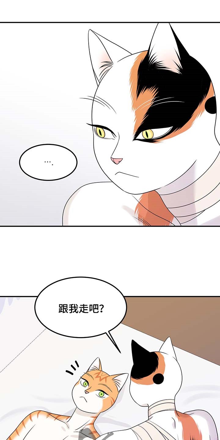 灵猫欧米伽漫蛙叫什么漫画,第48话1图