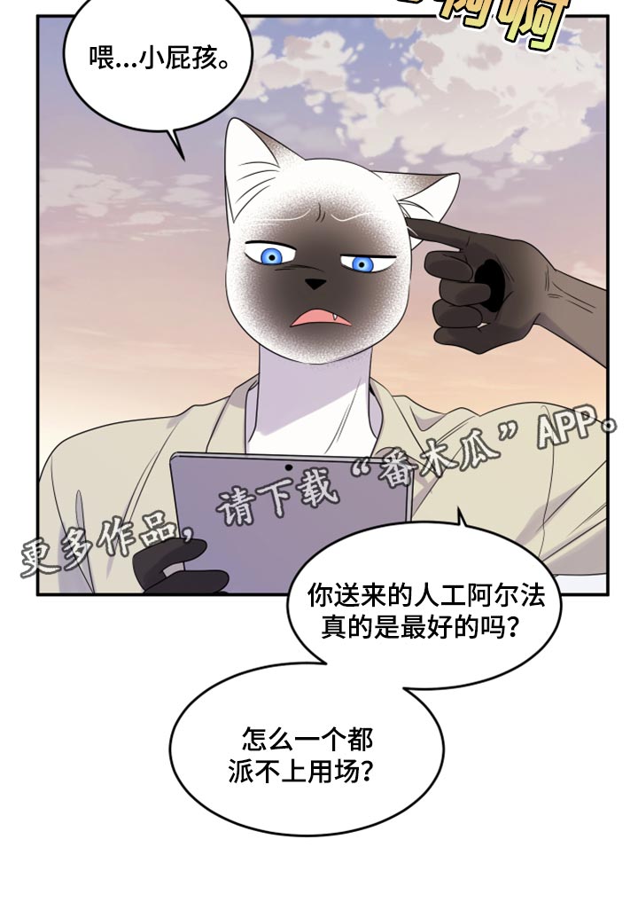 灵猫欧米伽漫画免费漫画,第56话1图