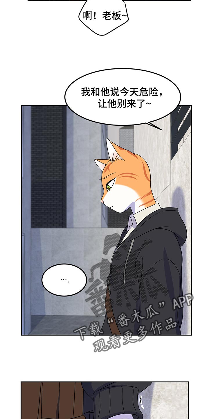 灵猫欧米伽漫画,第43话2图
