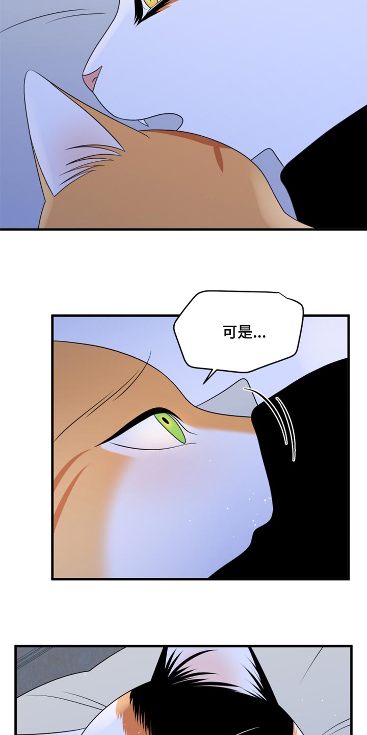 灵猫欧米伽什么时候更新第三季漫画,第75话2图