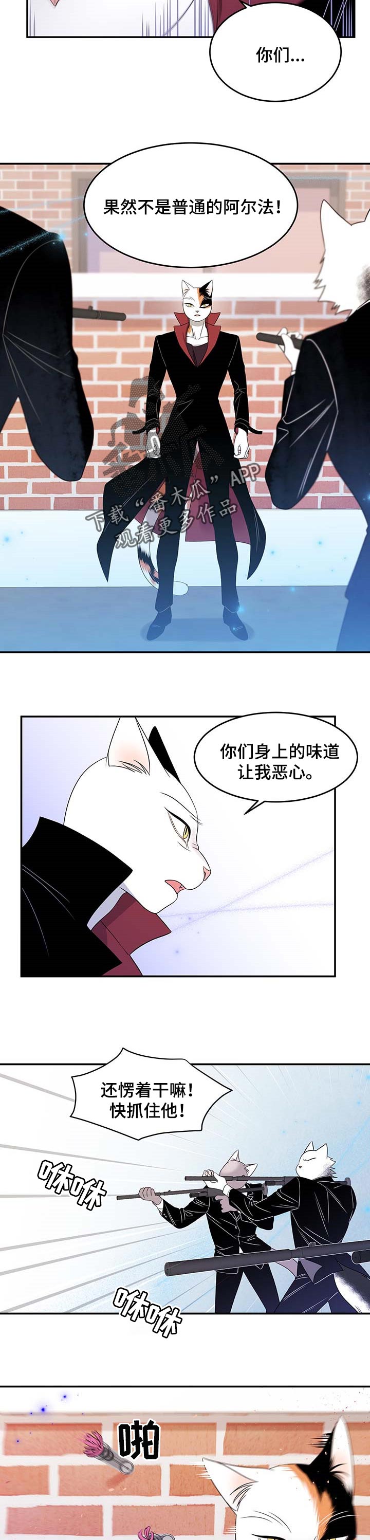 灵猫欧米伽是什么意思漫画,第28话2图