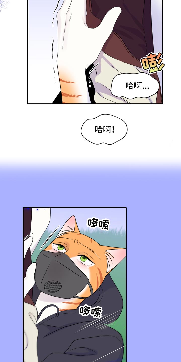 灵猫欧米伽免费版在哪里看漫画,第64话1图