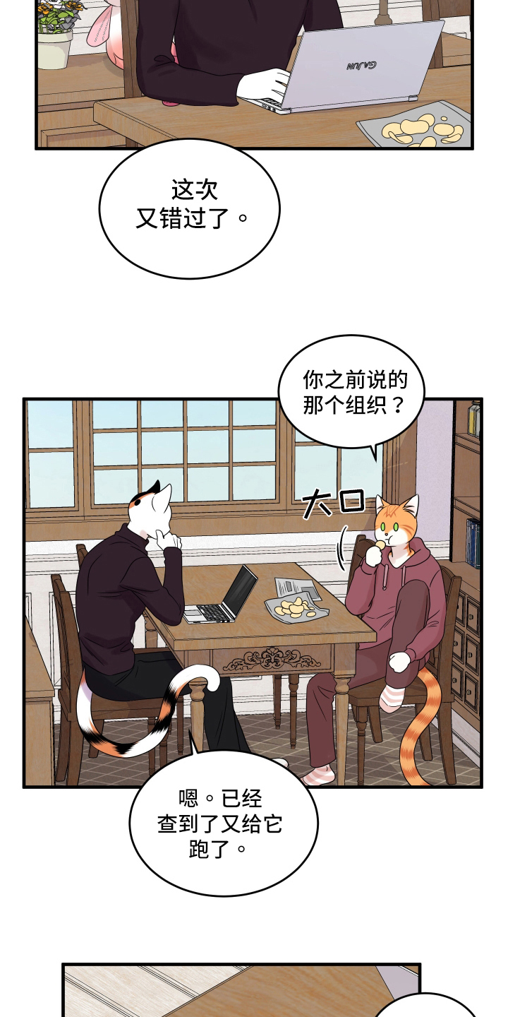 omega猫漫画,第107话1图