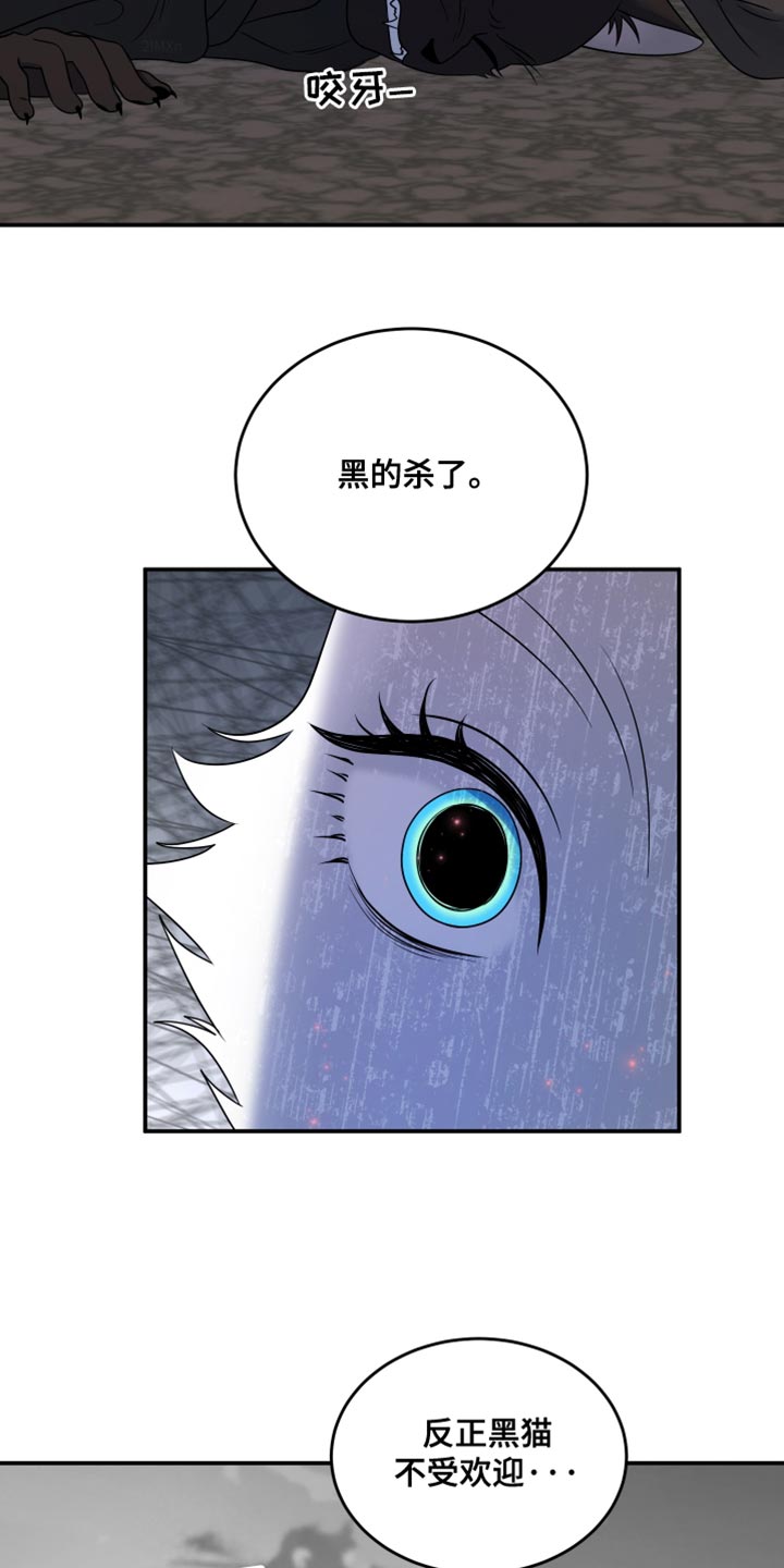 灵猫是什么动物漫画,第139话1图