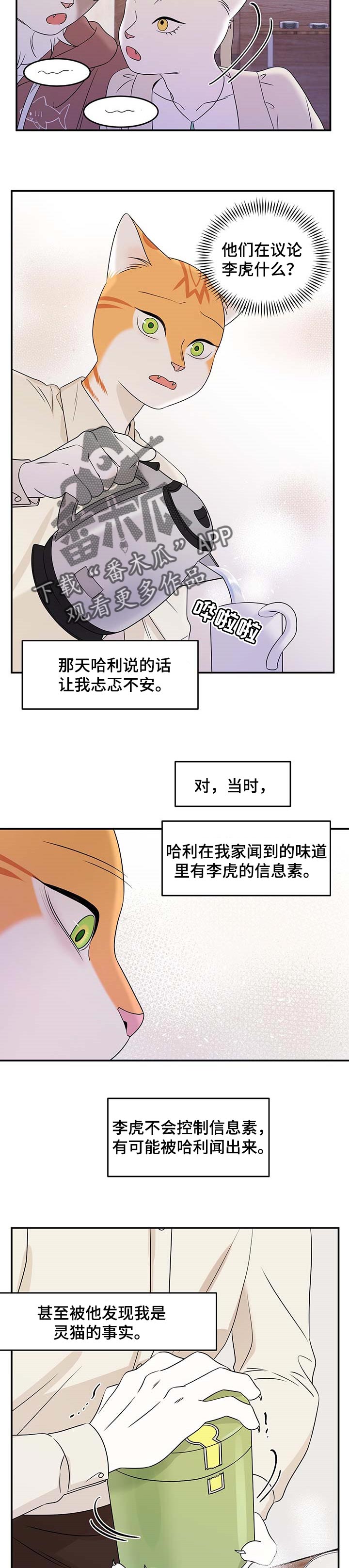 灵猫欧米伽最新话漫画,第23话2图