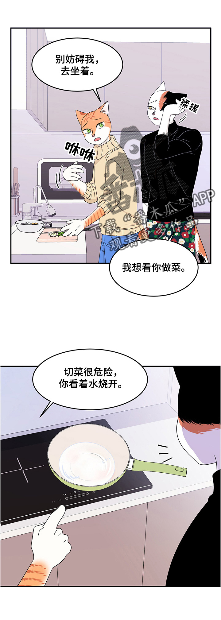 灵猫欧米伽双猫漫画,第10话2图