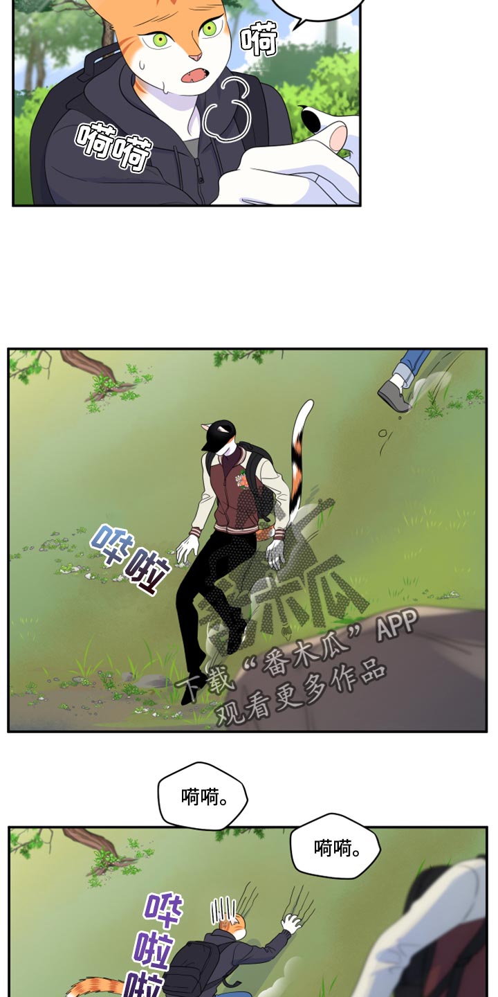 灵猫欧米伽在哪里免费看漫画,第60话2图