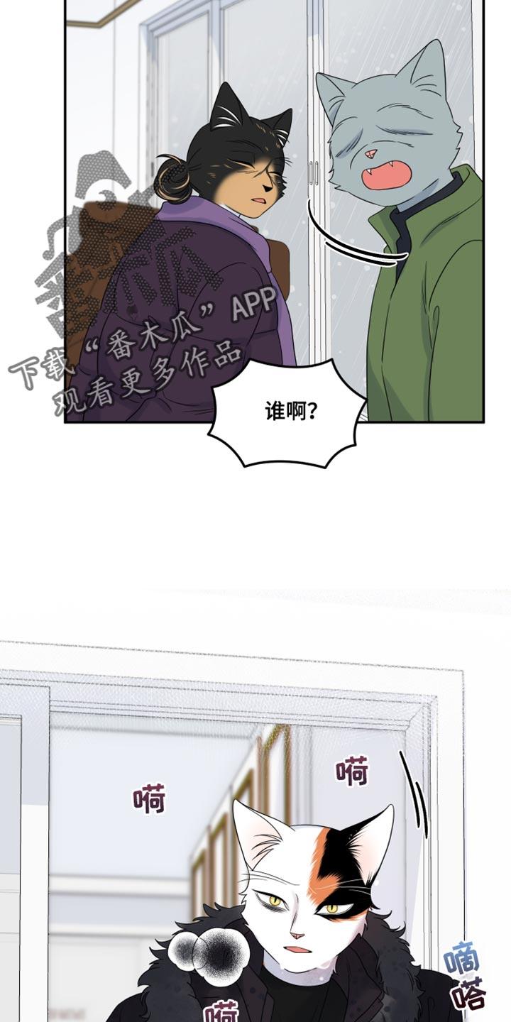 灵猫欧米伽漫画在哪里看漫画,第111话1图