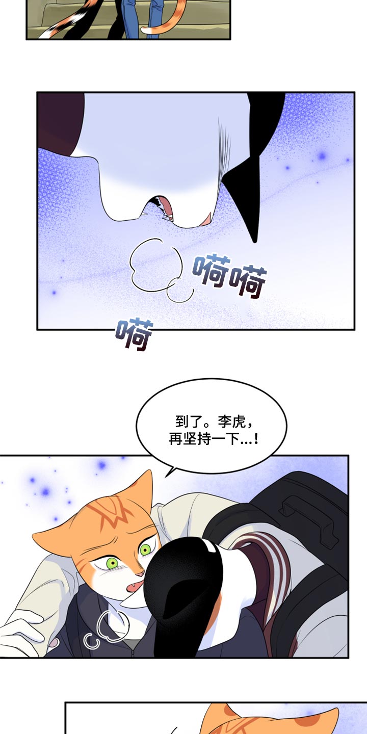 灵猫传汪苏泷漫画,第60话2图