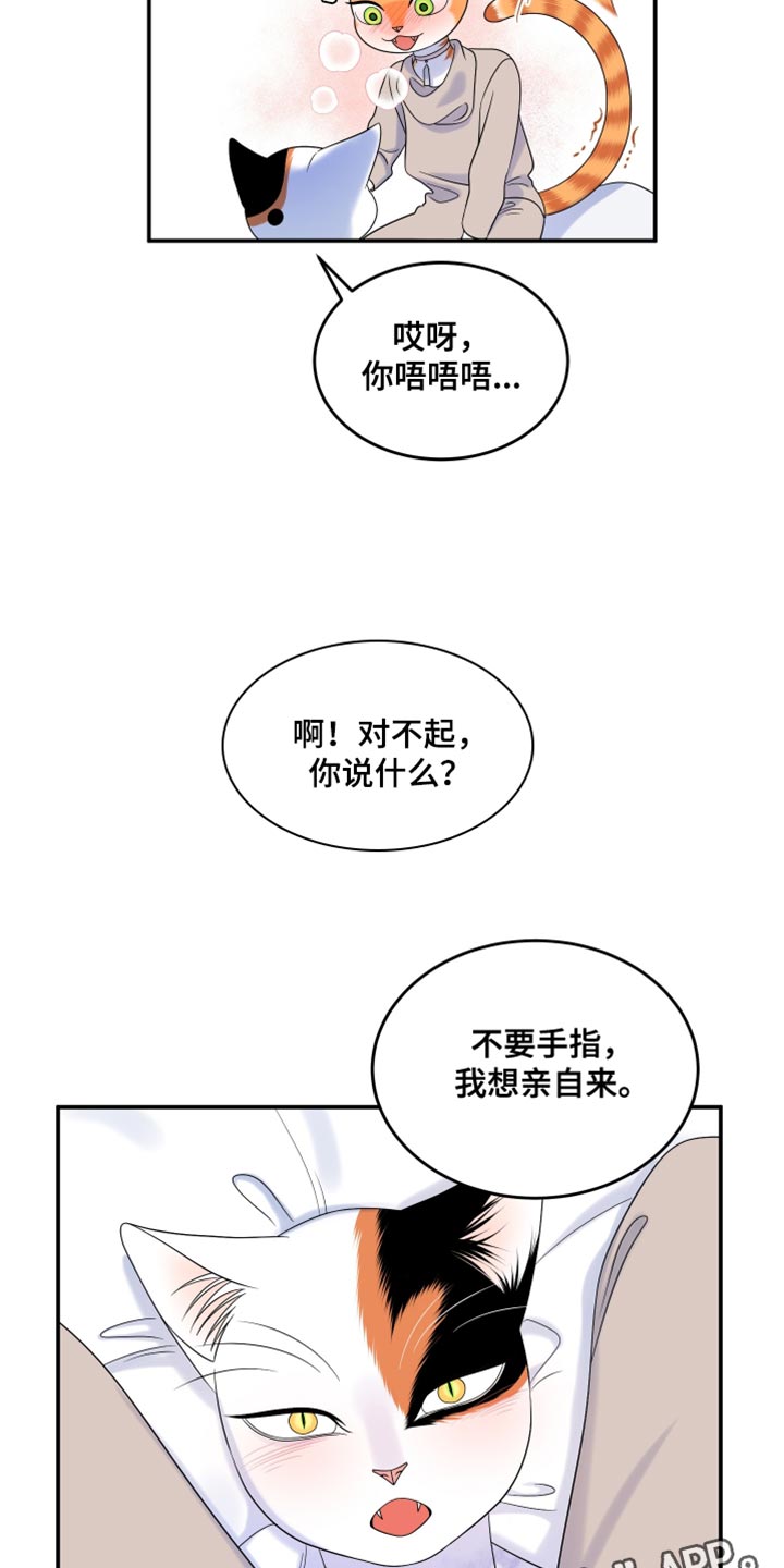 灵猫欧米伽漫画,第167话2图