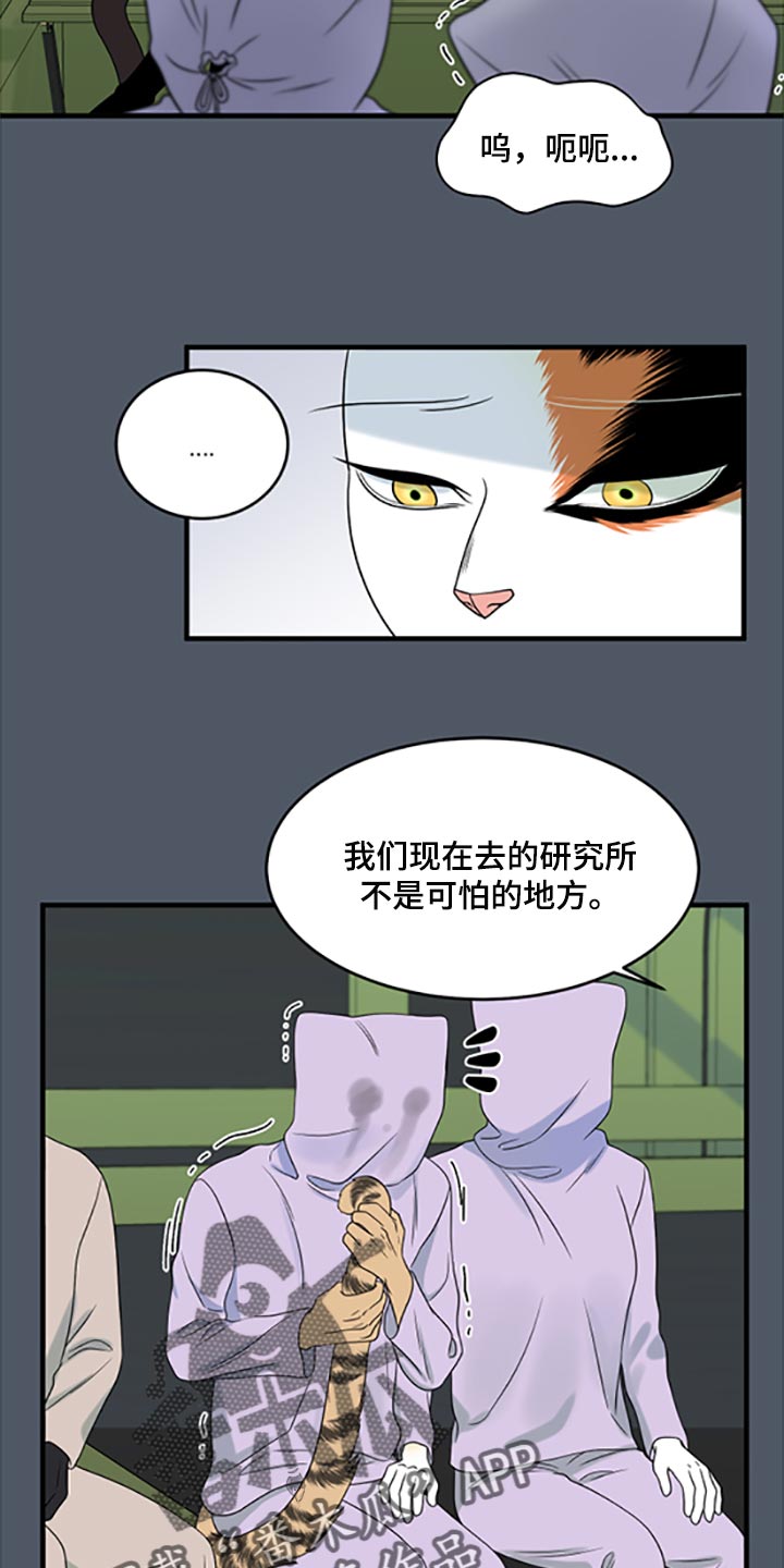 灵猫欧米伽在哪里免费看漫画,第80话1图