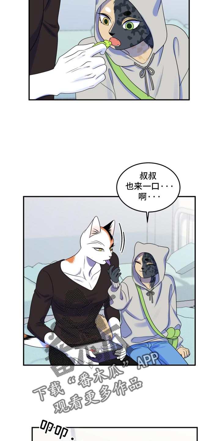 灵猫传歌曲漫画,第116话1图