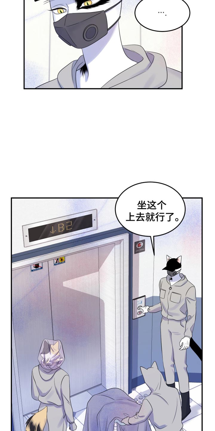灵猫欧米伽漫画,第123话1图