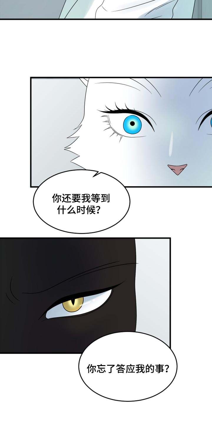 灵猫传汪苏泷漫画,第58话2图