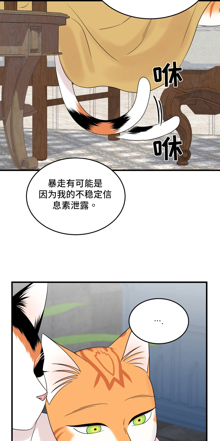 灵猫欧米伽在线免费看漫画漫画,第105话2图