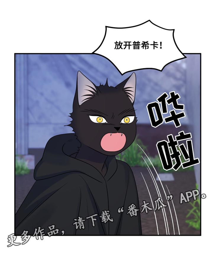 灵猫护塔漫画,第138话1图