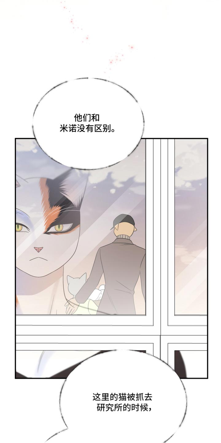 灵猫欧米伽漫画全集免费观看漫画,第115话2图