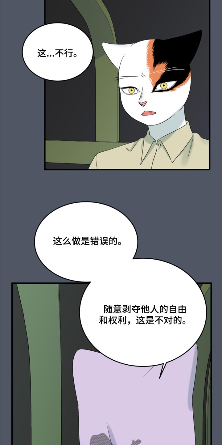 欧米伽3对猫的作用漫画,第80话1图