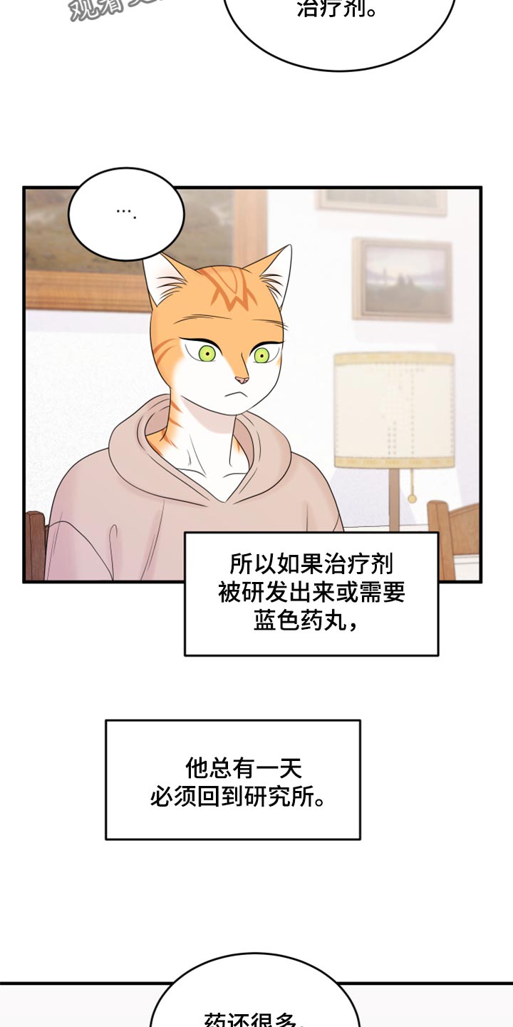 灵猫欧米伽漫画免费双男主漫画,第73话1图