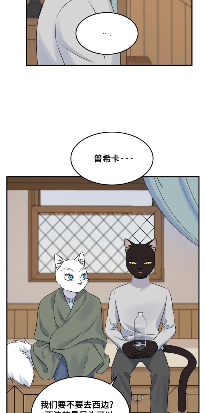 灵猫欧米伽漫画全集免费观看漫画,第145话2图