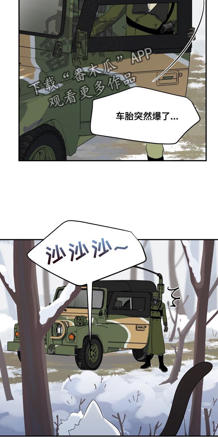 灵猫欧米伽2漫画,第146话2图