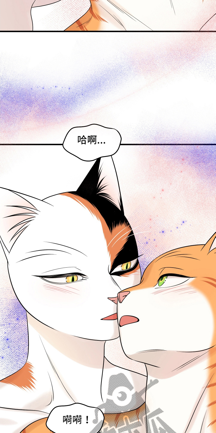 灵猫欧米伽免费阅读漫画,第106话2图