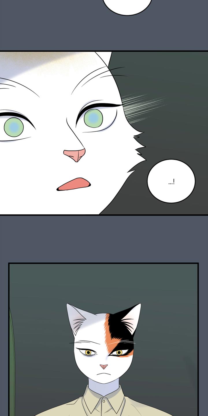 灵猫欧米伽动漫漫画,第81话1图