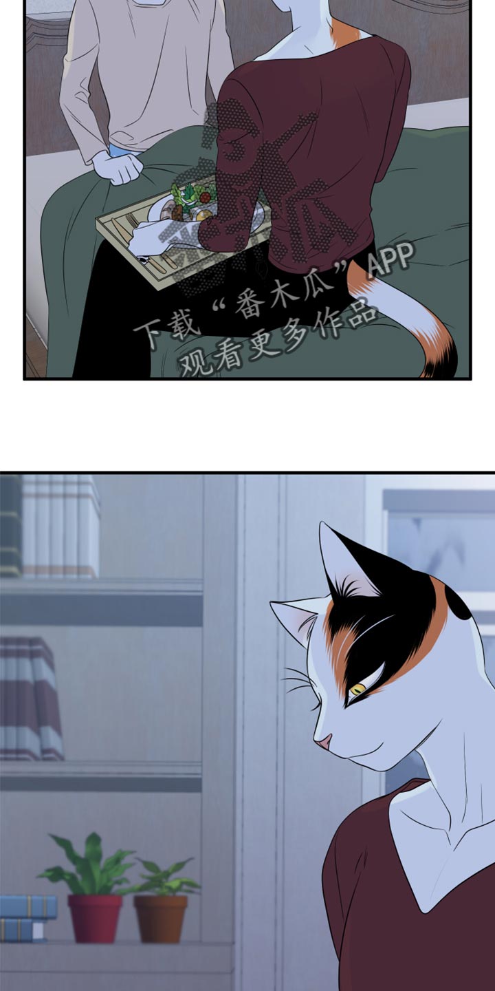 灵猫欧米伽免费漫画,第66话2图