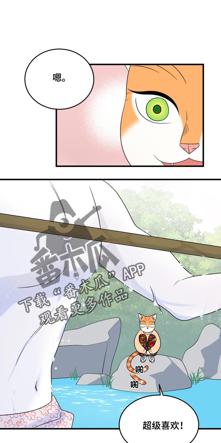 灵猫欧米伽第三季156章漫画,第68话1图