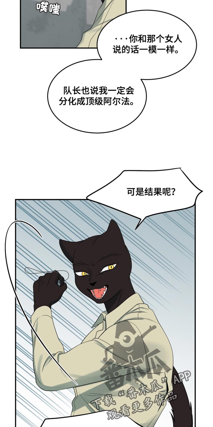 灵猫欧米伽漫画全集免费观看漫画,第152话1图