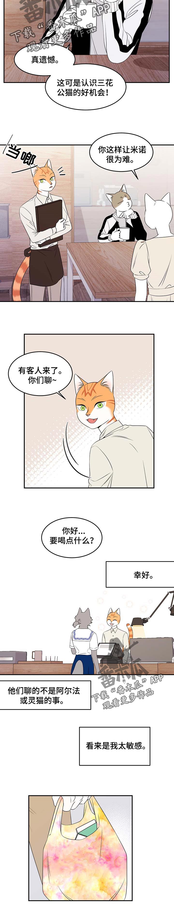 灵猫欧米伽漫画作者漫画,第25话1图