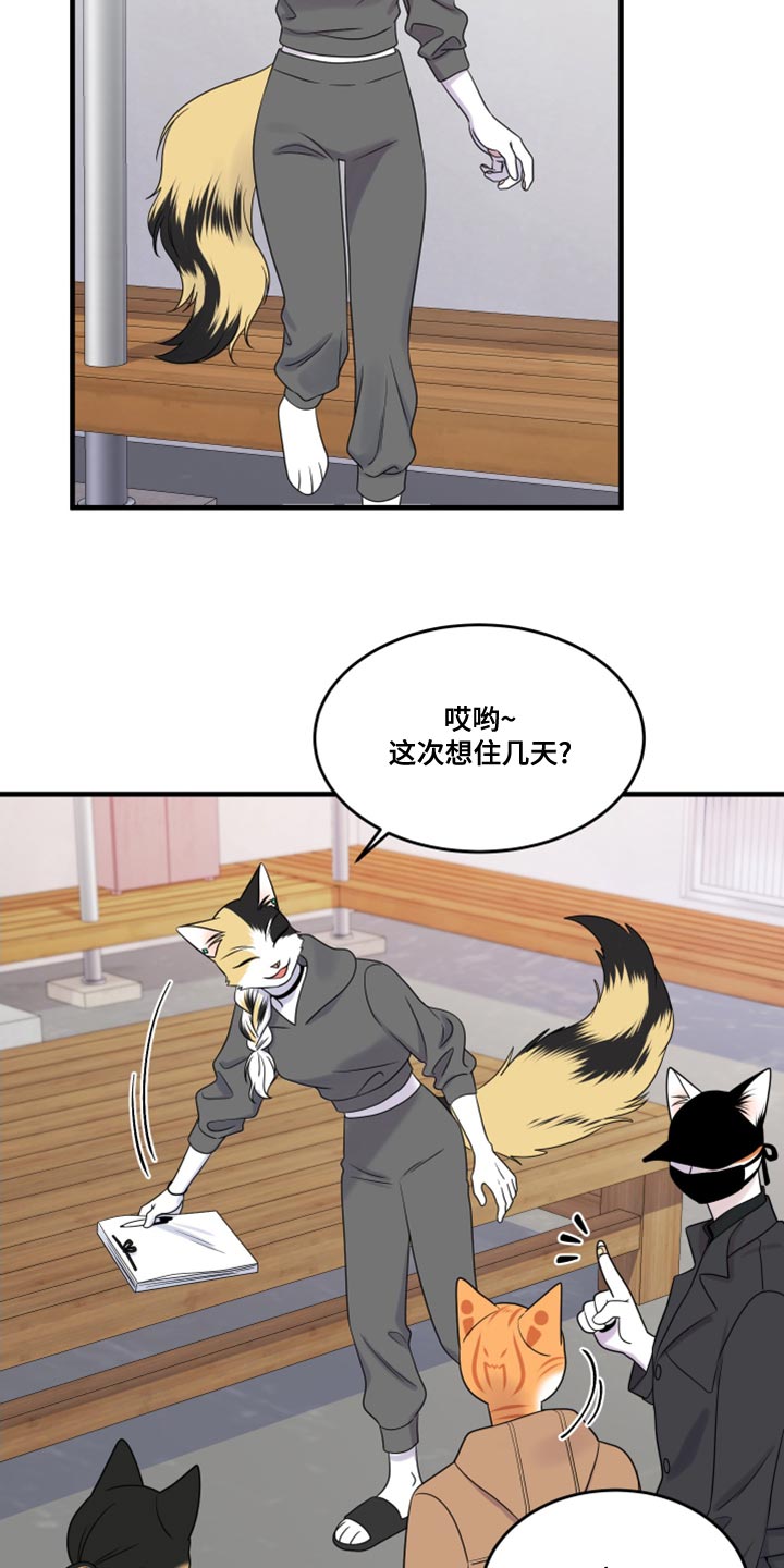 灵猫欧米伽漫画在线观看画涯漫画,第101话2图