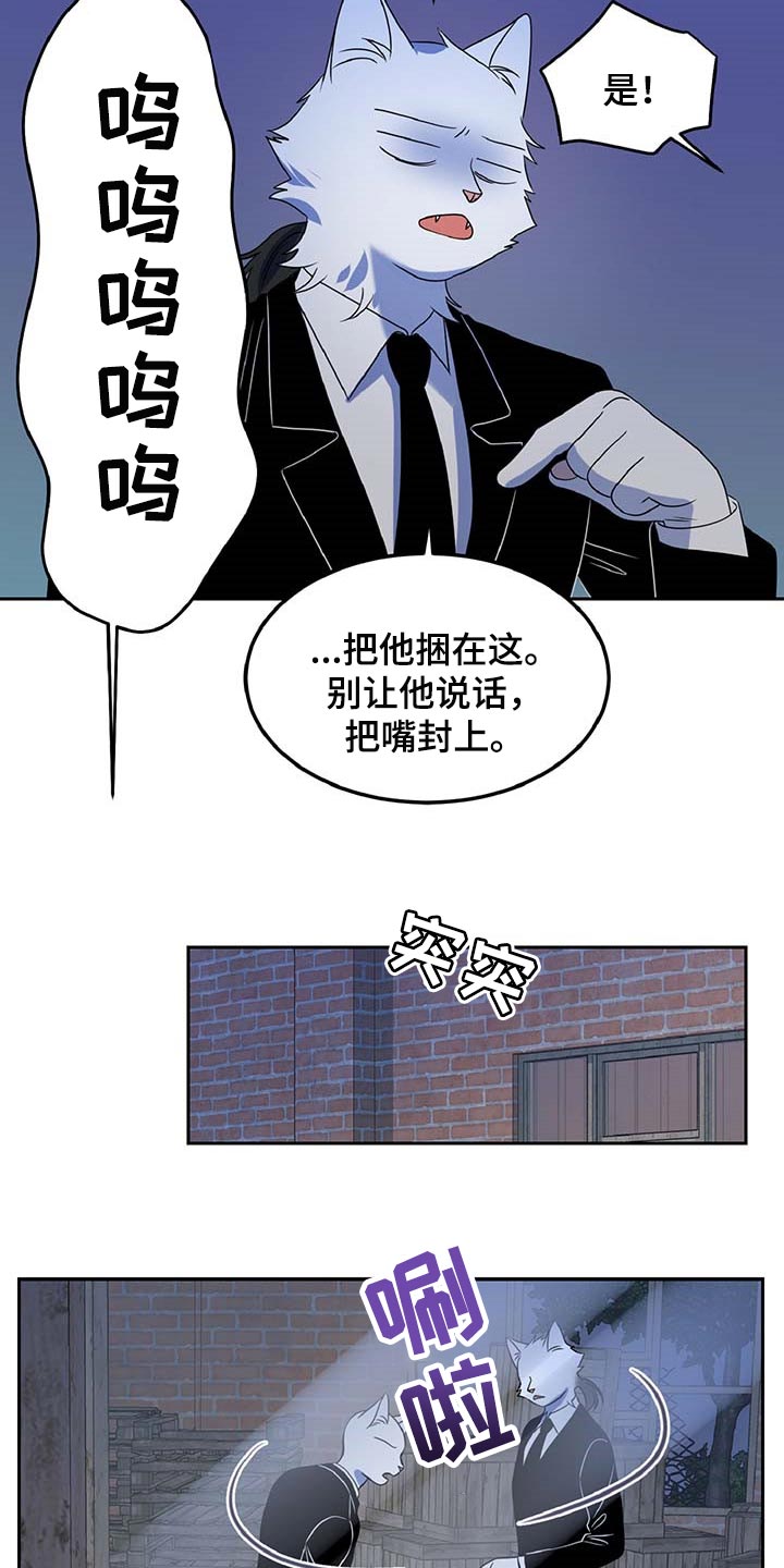 灵猫欧米伽漫画下拉漫画,第37话2图