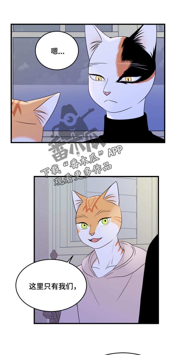 灵猫欧米伽免费阅读漫画,第75话2图