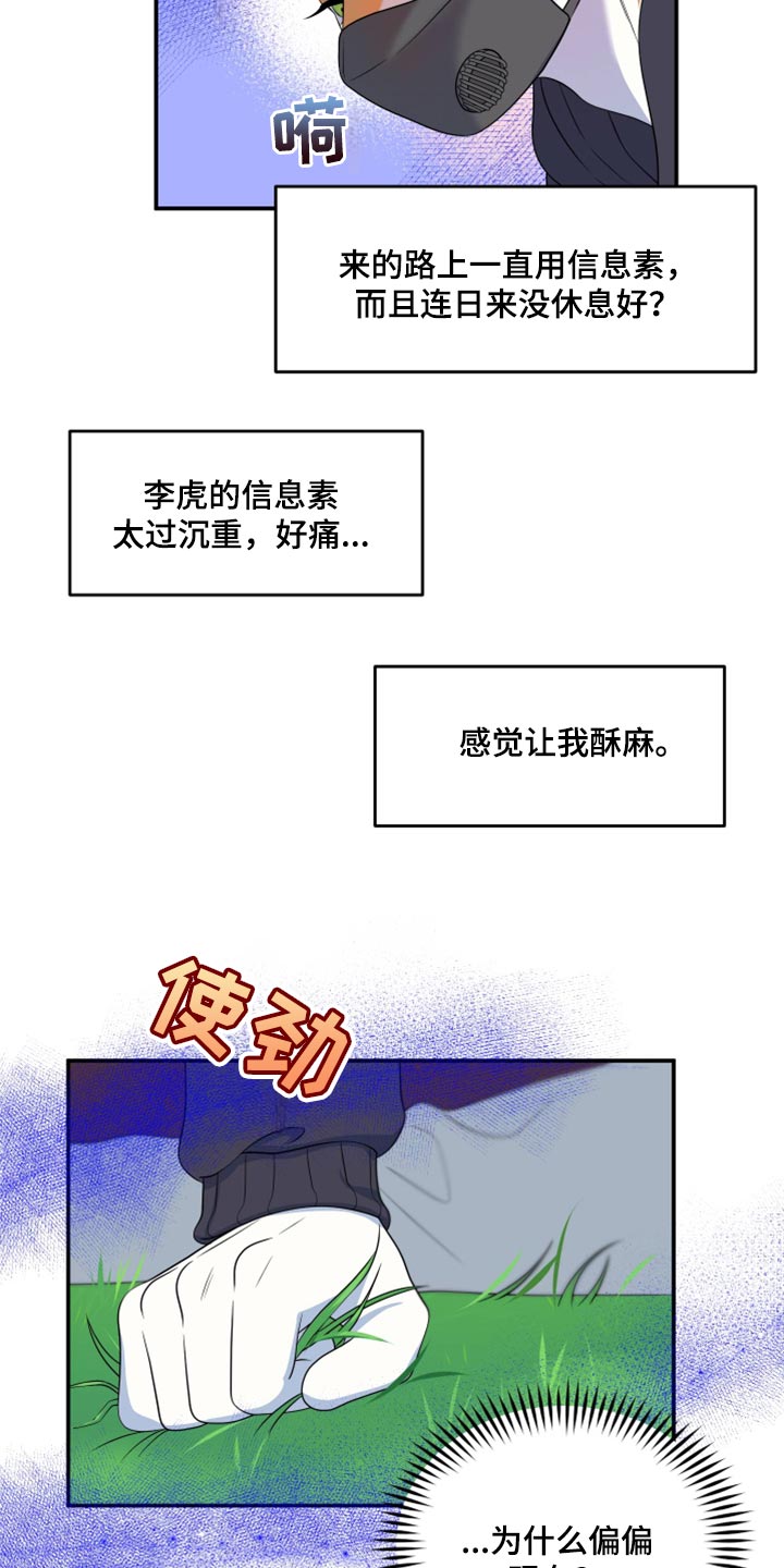 灵猫传汪苏泷漫画,第62话2图