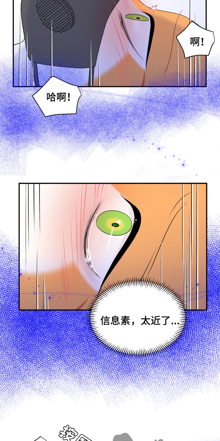 灵猫苏苏漫画,第64话1图